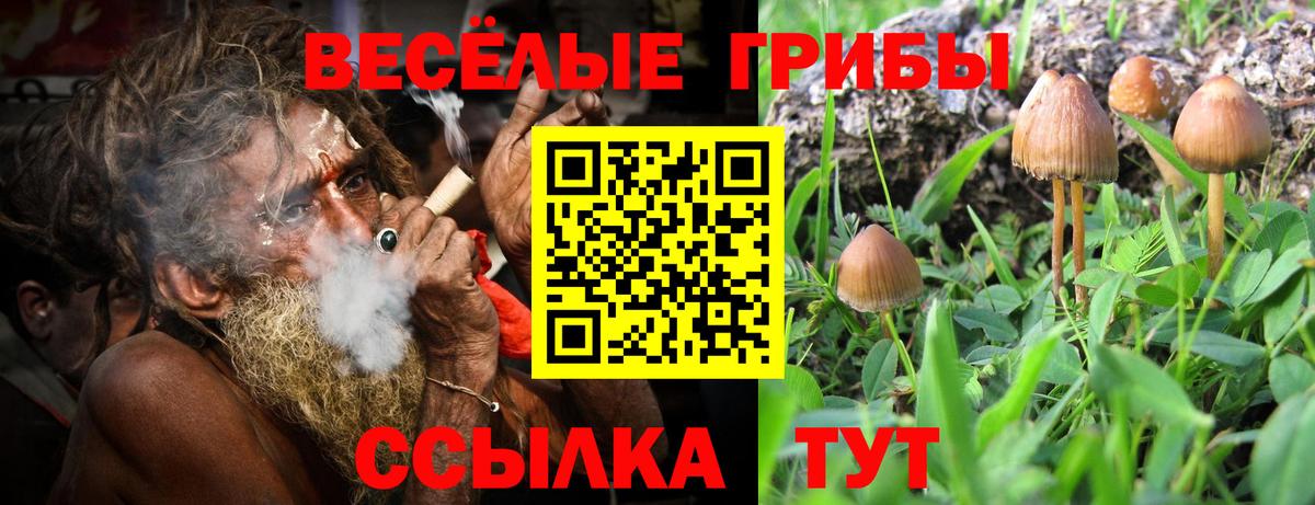 Горячий Ключ  Псилоцибиновые грибы Psilocybe  Галлюциногенные грибы GOLDEN TEACHER  Вход с VPN 